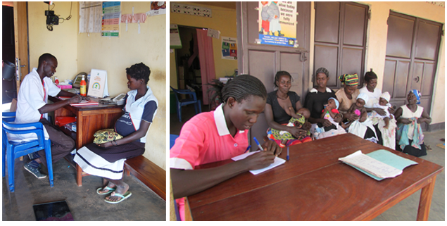 Immunization and Maternity Services Provided